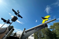 IMG-20250808-WA0023