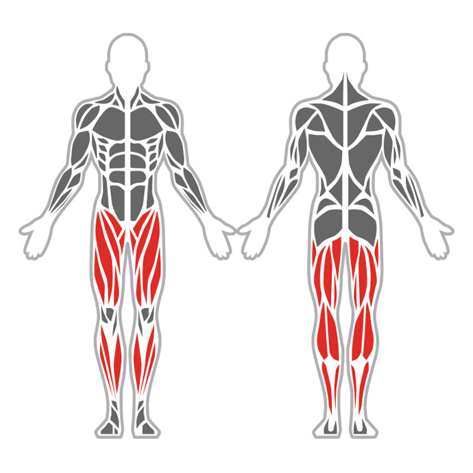 Trenazöör "Squat Machine" - Image 4