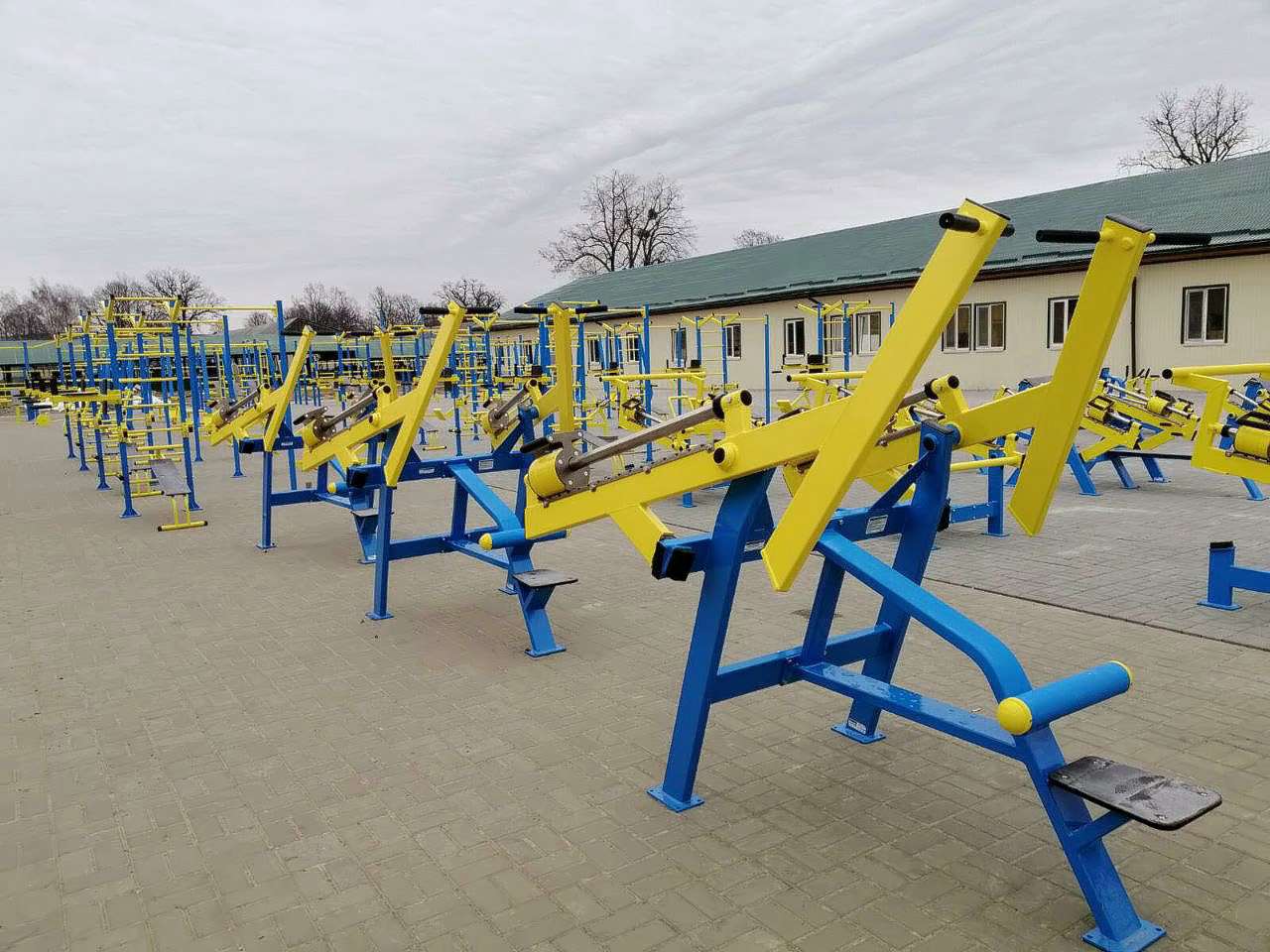 Trenazöör “Lat Pull Down” - Image 5